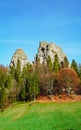 Beautiful trees and stone Carpathian rocks