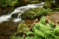 Beautiful Carpathian mountain stream with cool water Royalty Free Stock Photo