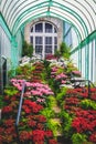 Beautiful carpet of blooming flowers and fresh plants. Royal Greenhouses of Laeken in Belgium