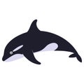 Beautiful cartoon illustration with colorful sea animals killer whale on white background for print design. Kid graphic. Royalty Free Stock Photo