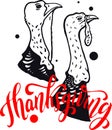 Beautiful cartoon illustration of hand drawn and cute turkeys for thanksgiving greeting card.cdr