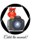 Beautiful cartoon red owl sits on the button Start the camera in the frame of the camera\'s aperture. Concept photography,