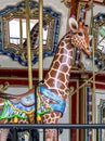 Beautiful carved giraffe on a vintage carousal Royalty Free Stock Photo