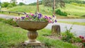 Beautiful carved stone planter, with one foot, filled with ornamental flowers