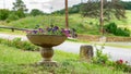 Beautiful carved stone planter, with one foot, filled with ornamental flowers