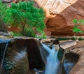 Beautiful Cascade in Coyote Gulch close-up Royalty Free Stock Photo