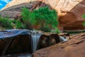 Beautiful Cascade in Coyote Gulch Royalty Free Stock Photo