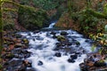 Beautiful Cascade stream through the rocks in fall