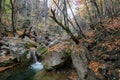 Beautiful cascade waterfall in autumn forest, silky smooth stream in the forest Royalty Free Stock Photo