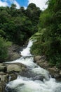 Beautiful cascade waterfall hidden in a forest. Adventure and travel concept. Nature background. Kaiate Falls, Bay of Royalty Free Stock Photo