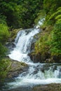 Beautiful cascade waterfall hidden in a forest. Adventure and travel concept. Nature background. Kaiate Falls, Bay of Royalty Free Stock Photo