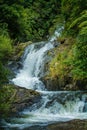 Beautiful cascade waterfall hidden in a forest. Adventure and travel concept. Nature background. Kaiate Falls, Bay of Royalty Free Stock Photo