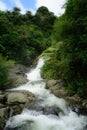 Beautiful cascade waterfall hidden in a forest. Adventure and travel concept. Nature background. Kaiate Falls, Bay of