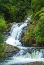 Beautiful cascade waterfall hidden in a forest. Adventure and travel concept. Nature background. Kaiate Falls, Bay of Royalty Free Stock Photo