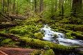 Beautiful cascade waterfall in Sol Duc falls trail Royalty Free Stock Photo