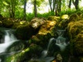 Beautiful cascade of waterfalls in the wooded mountains Montenegro Royalty Free Stock Photo