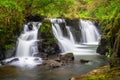 Mountain creek of Clare Glens