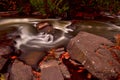 Flowing Ontonagon River Small Waterfalls in October Royalty Free Stock Photo