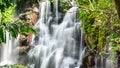 Beautiful cascading waterfall in a dense jungle gully Royalty Free Stock Photo