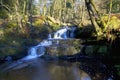 Beautiful cascading waterfall, Nant Bwrefwy, Blaen-y-Glyn Forest
