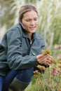beautiful casual woman on mobile phone in garden Royalty Free Stock Photo