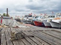 A beautiful cat is lying on the dock in a small ship harbor