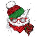 A beautiful cat in a winter hat and scarf. Cute kitten. Vector illustration.