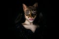 Beautiful woman cat collage conceptual creative image