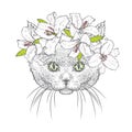 A beautiful cat in a wreath of lilies. Lovely kitten in a flower wreath. A purebred cat. Vector illustration. Royalty Free Stock Photo