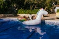 beautiful caucasian woman sitting on inflatable unicorn toy in swimming pool. Cute border collie dog besides. Summer time, Royalty Free Stock Photo