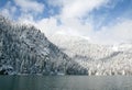 Beautiful Caucasus. Abkhazia. Lake Ritsa. Royalty Free Stock Photo