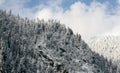 Beautiful Caucasus. Abkhazia. Lake Ritsa. Royalty Free Stock Photo