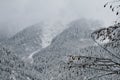 Beautiful Caucasus. Abkhazia. Lake Ritsa. Royalty Free Stock Photo