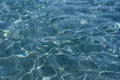 Bright caustics on water surface in blue sea Royalty Free Stock Photo