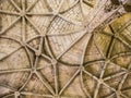 Beautiful ceiling in the Jeronimos Monastery in Belem Royalty Free Stock Photo