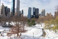 Beautiful Central Park Covered in Snow with Skyscrapers in New York City during Winter Royalty Free Stock Photo