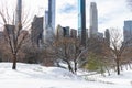 Beautiful Central Park Winter Landscape with Snow and the Midtown Manhattan Skyline in New York City Royalty Free Stock Photo