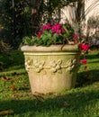 Beautiful ceramic flower pot with flowers, garden space decoration. This pot will fit perfectly into urban space, in a Royalty Free Stock Photo