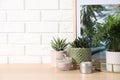 Beautiful Chamaedorea, Aloe and Haworthia in pots with decor on wooden table near white brick wall, space for text. Different