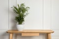 Beautiful chamaedorea plant in pot on wooden table indoors, space for text. House decor