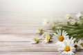 Beautiful chamomile flowers on white wooden background, closeup.