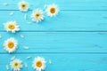 Beautiful chamomile flowers on wooden background Royalty Free Stock Photo