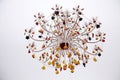 Beautiful chandelier