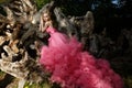 Charming woman pink evening dress with fluffy aerial skirt is posing in botanical garden on the driftwood dried wood trunks