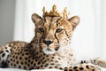 Beautiful Cheetah In Gold Crown On White Background. Generative AI