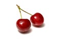 Beautiful cherries Royalty Free Stock Photo