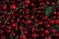 Beautiful Cherries as a background