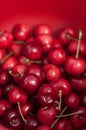 Beautiful cherries ready to eat