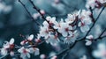 Beautiful cherry blossom in spring time. Floral background. Generative AI Royalty Free Stock Photo