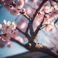 Beautiful cherry blossom tree - ai generated image Royalty Free Stock Photo